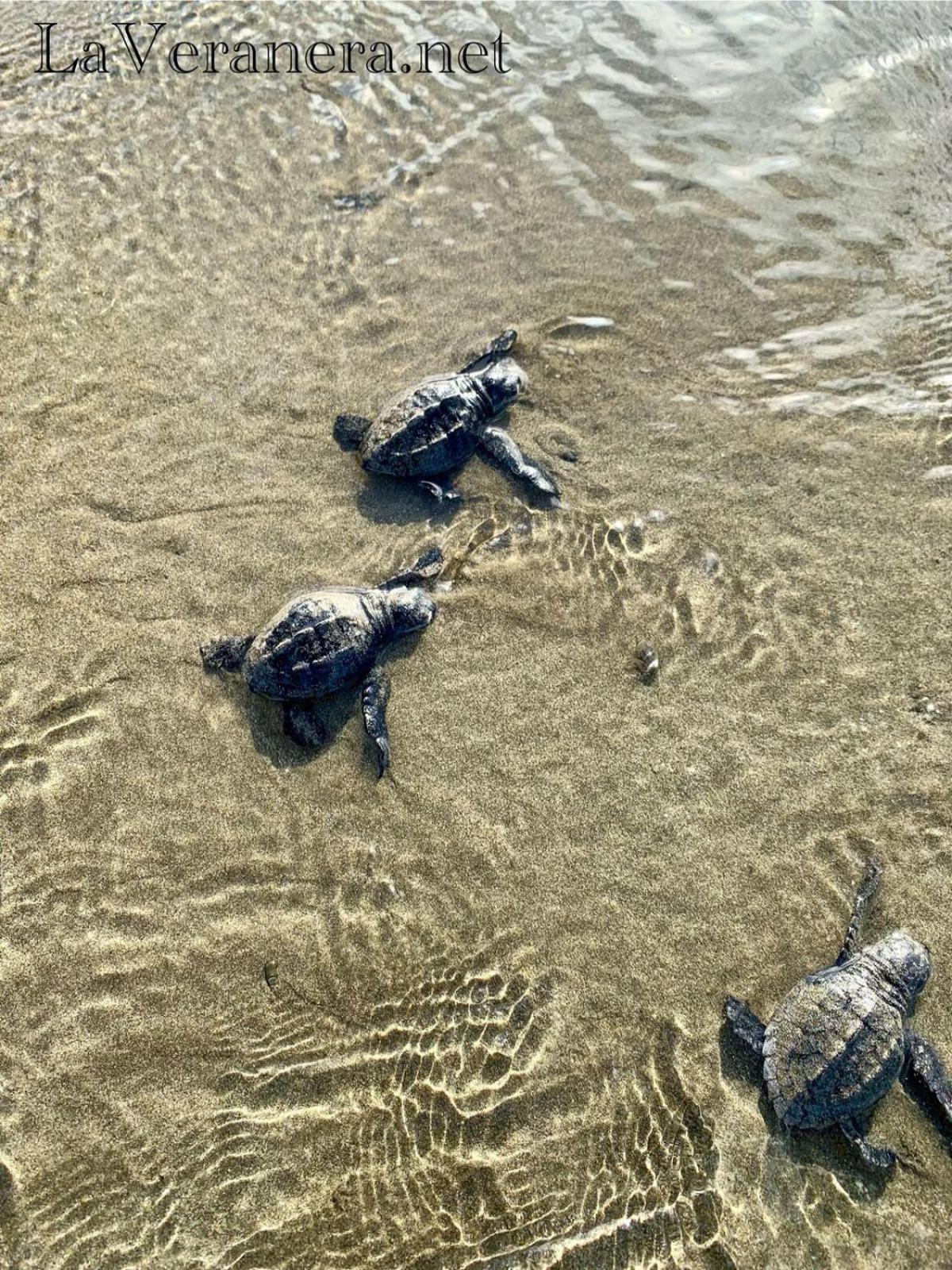 La Veranera, Playa El Coco San Juan del Sur Εξωτερικό φωτογραφία