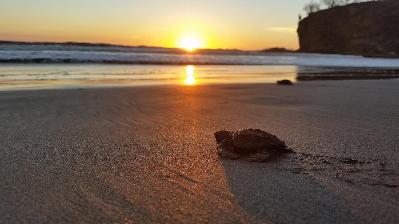 La Veranera, Playa El Coco San Juan del Sur Εξωτερικό φωτογραφία